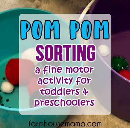 Pom Pom Sorting easy toddler activity fun toddler activity quick toddler activity fine motor activity pom pom activities for toddlers pom pom activities for preschoolers