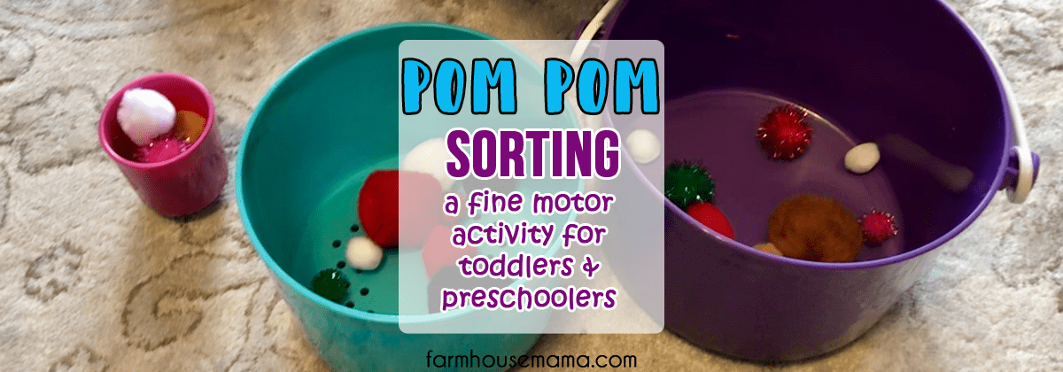 Pom Pom Sorting easy toddler activity fun toddler activity quick toddler activity fine motor activity pom pom activities for toddlers pom pom activities for preschoolers