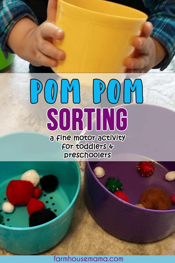 Pom Pom Sorting easy toddler activity fun toddler activity quick toddler activity fine motor activity pom pom activities for toddlers pom pom activities for preschoolers