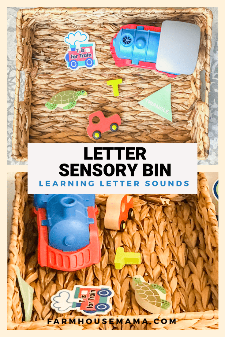 Letter Bin Sensory Bin Alphabet Sensory Play Letter Recognition Letter Sounds