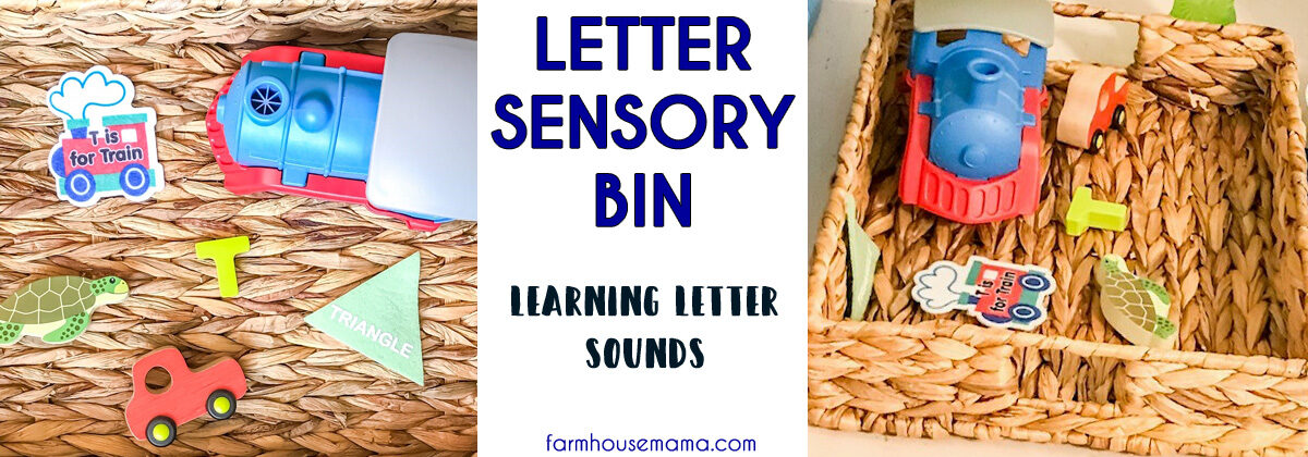 Letter Sensory Bin
