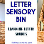 LETTER SENSORY BIN LETTER RECOGNITION LETTER SOUNDS LEARNING LETTERS