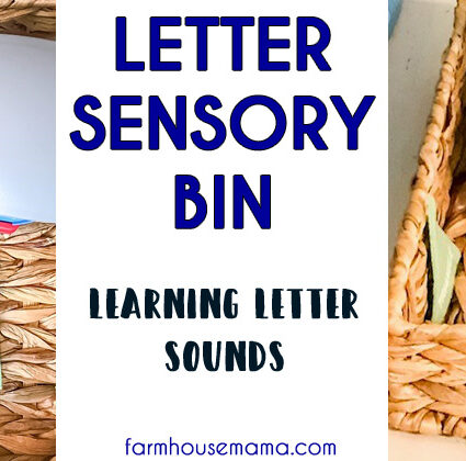 Letter Sensory Bin