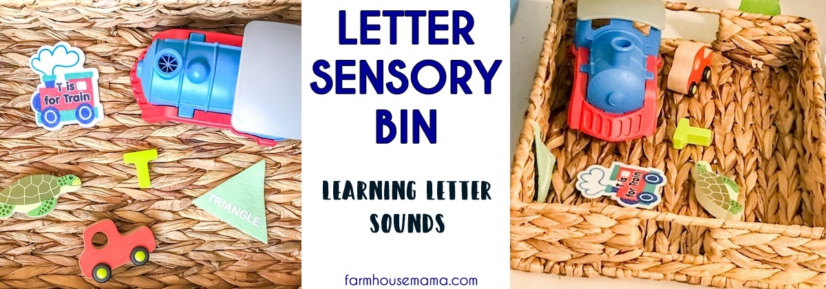 LETTER SENSORY BIN LETTER RECOGNITION LETTER SOUNDS LEARNING LETTERS