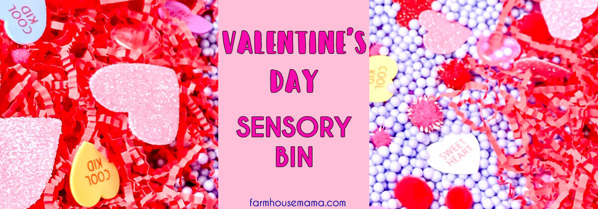 Valentine’s Day Sensory Bin