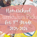 Homeschool Curriculum Picks for 3rd grade Christian Homeschool Curriculum
